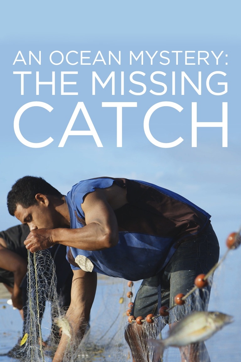 An ocean mystery the missing catch