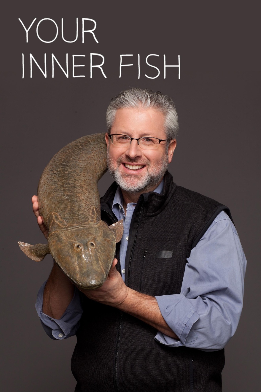 You inner fish